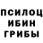 Псилоцибиновые грибы Magic Shrooms Sarvar Parpiyev