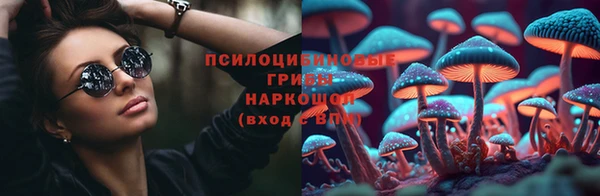 ешки Абинск